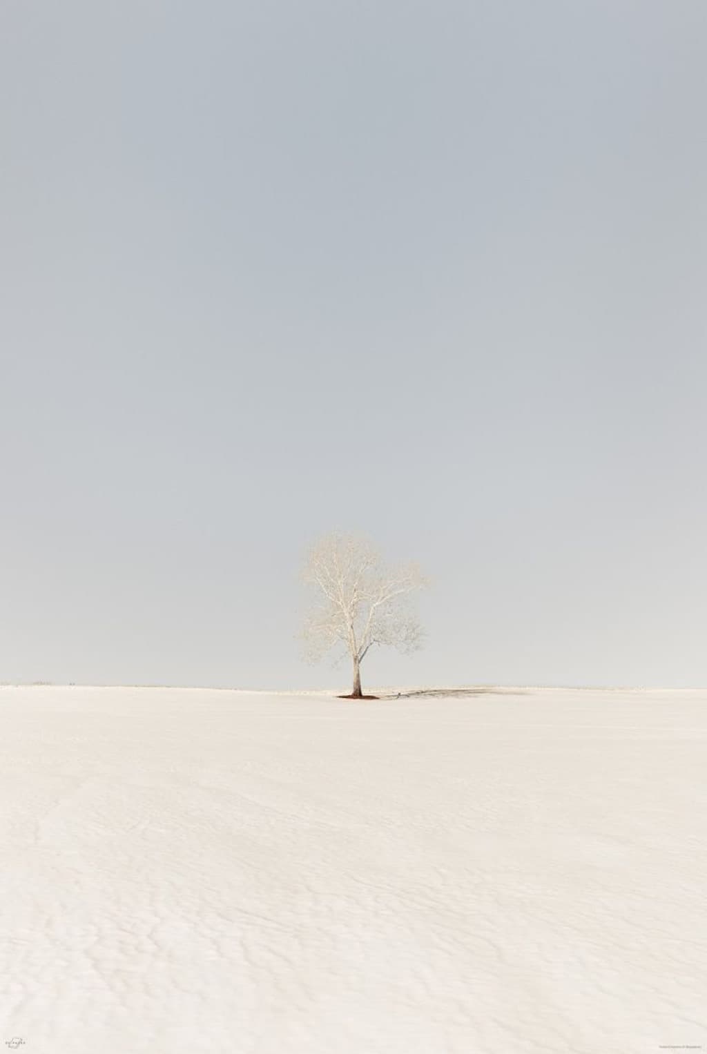 Desert Solitude